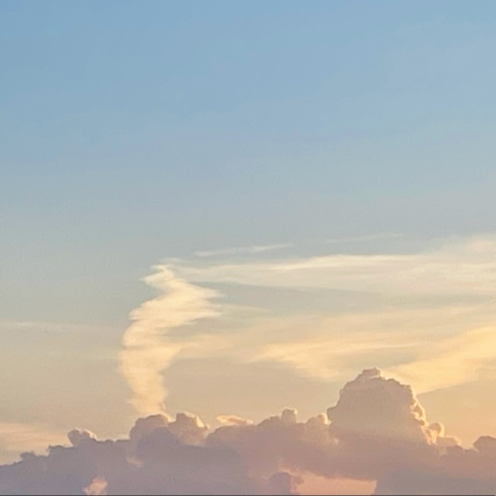 Meet your Posher, Hanni